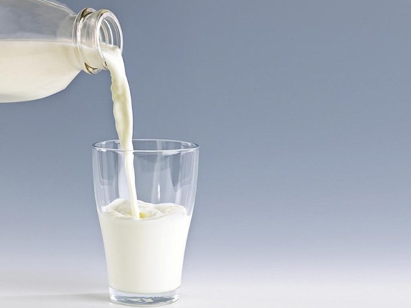 Sữa tươi không đường bao nhiêu calo? Uống sữa có béo không?