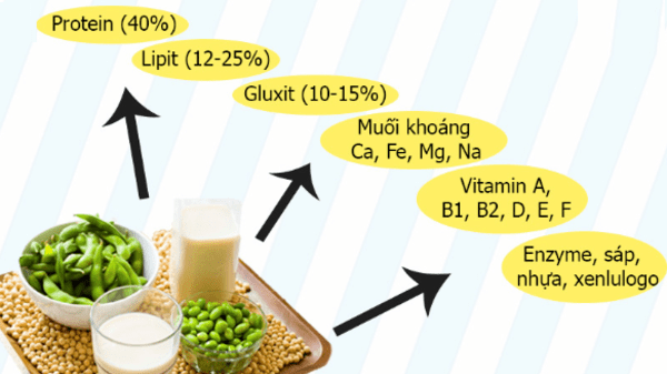 Giải đáp - Liệu uống sữa đậu nành có mập lên không?